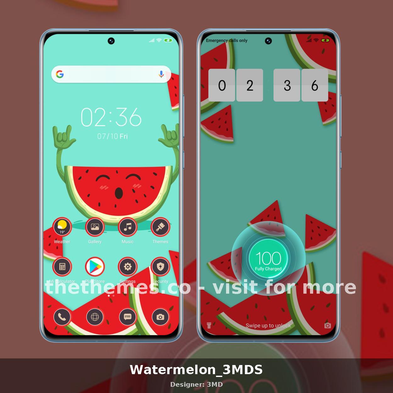 Watermelon_3MDS