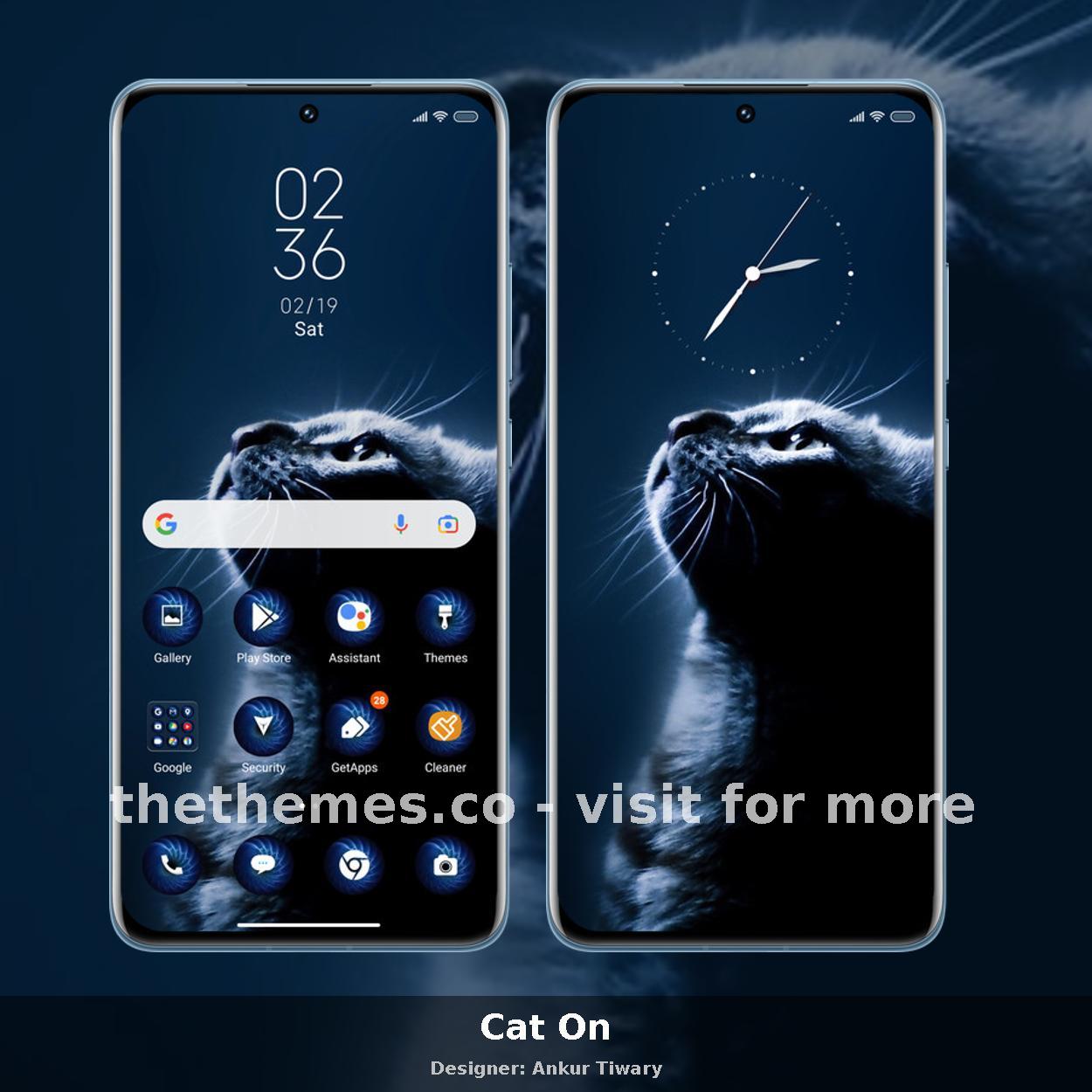 Cat On