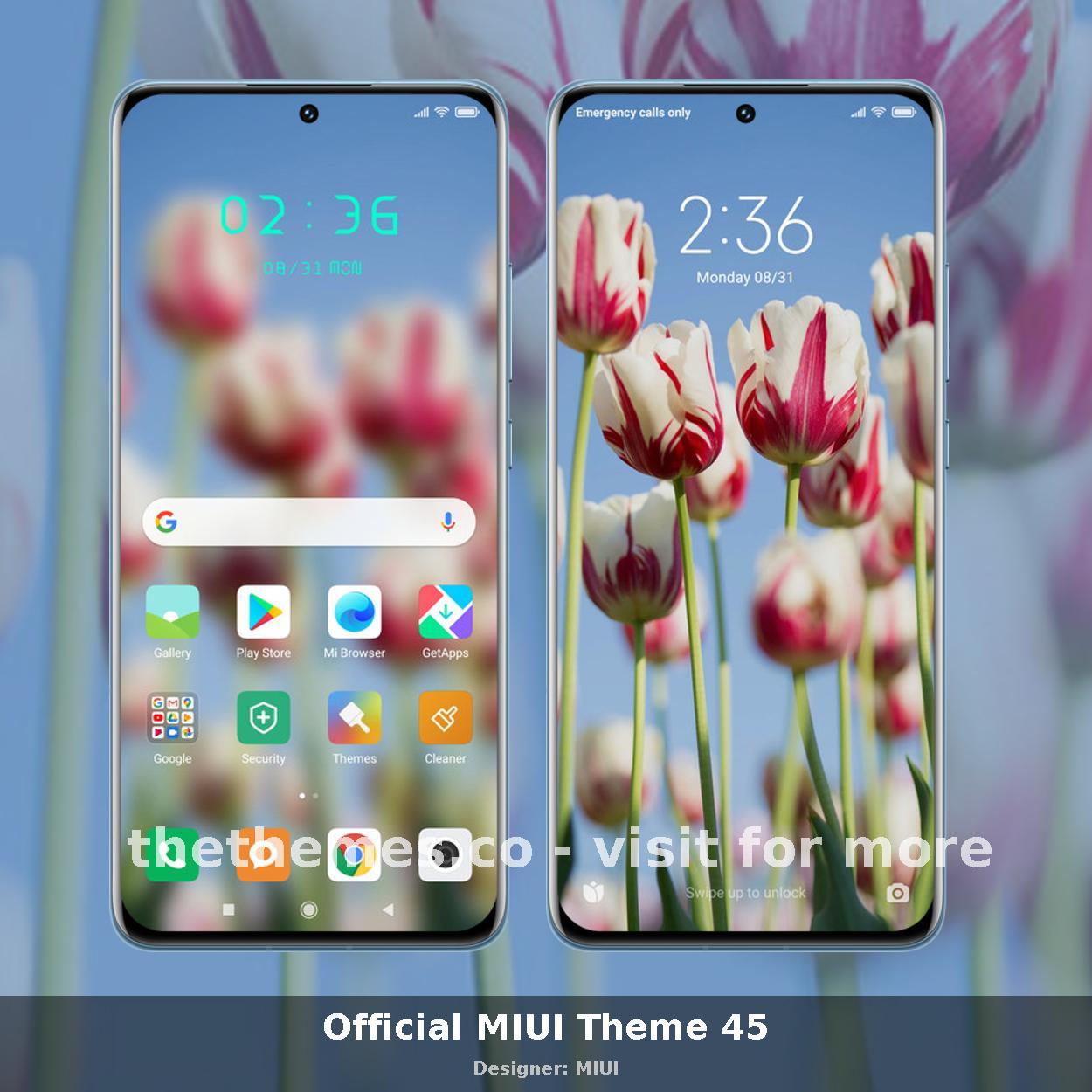 Official MIUI Theme 45