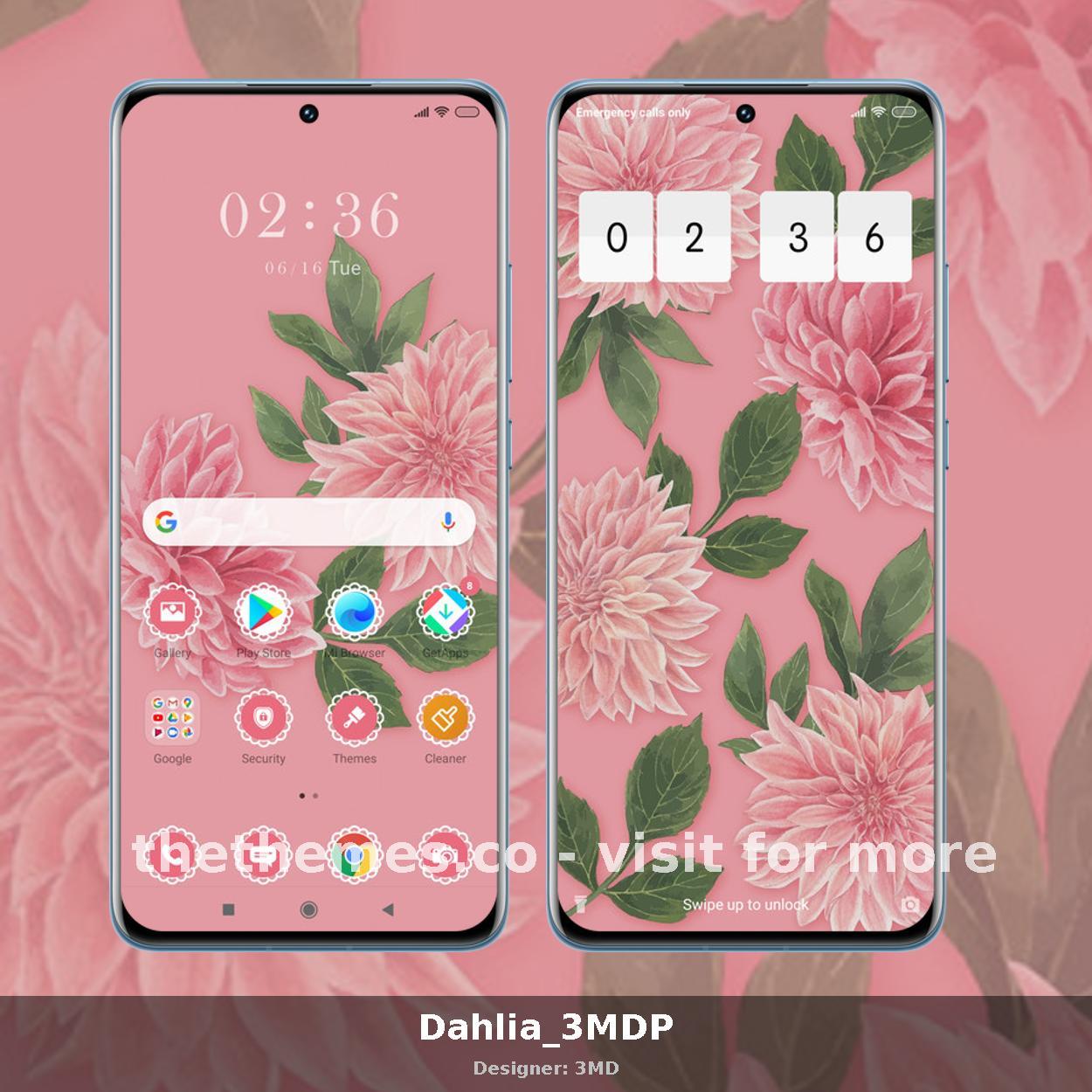 Dahlia_3MDP