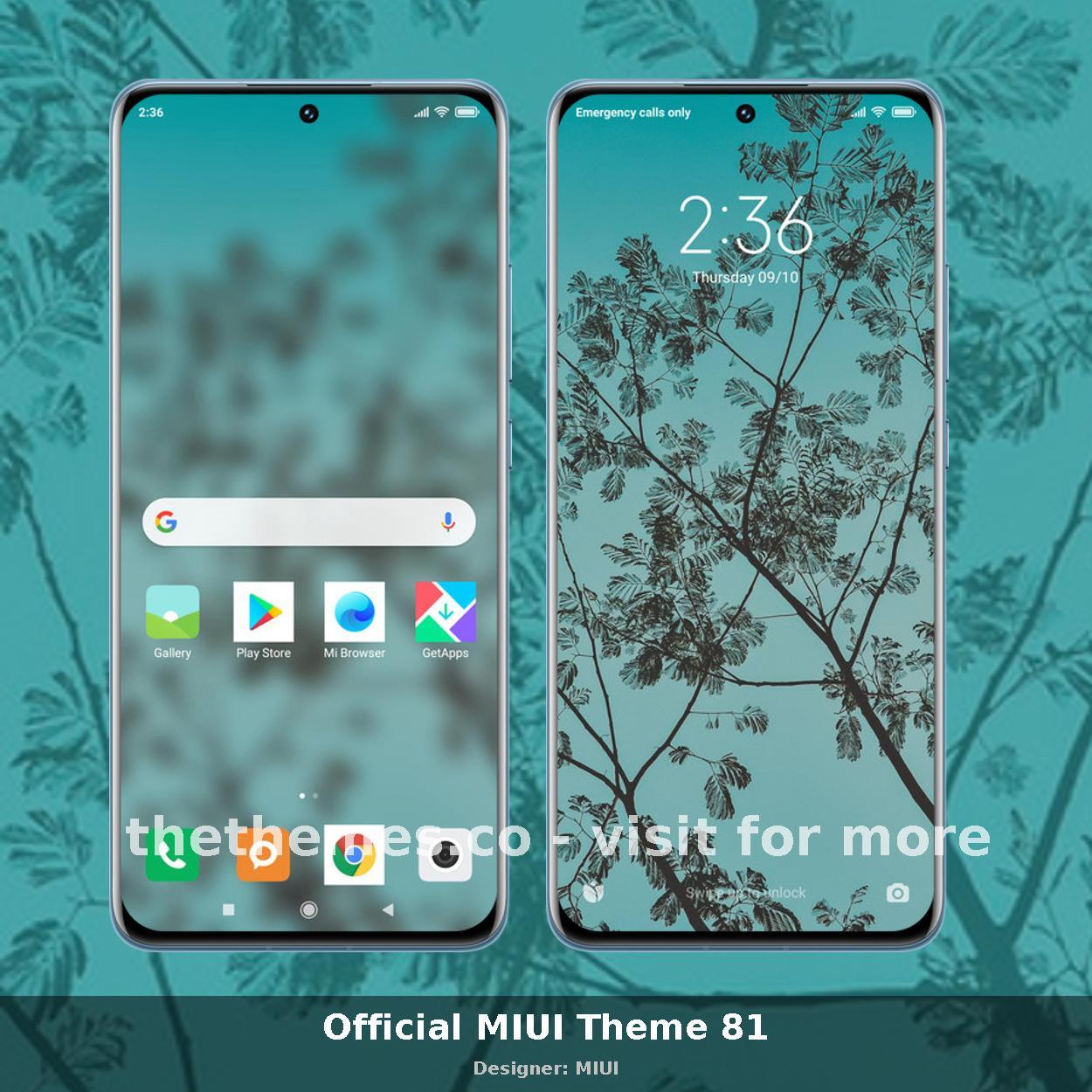 Official MIUI Theme 81