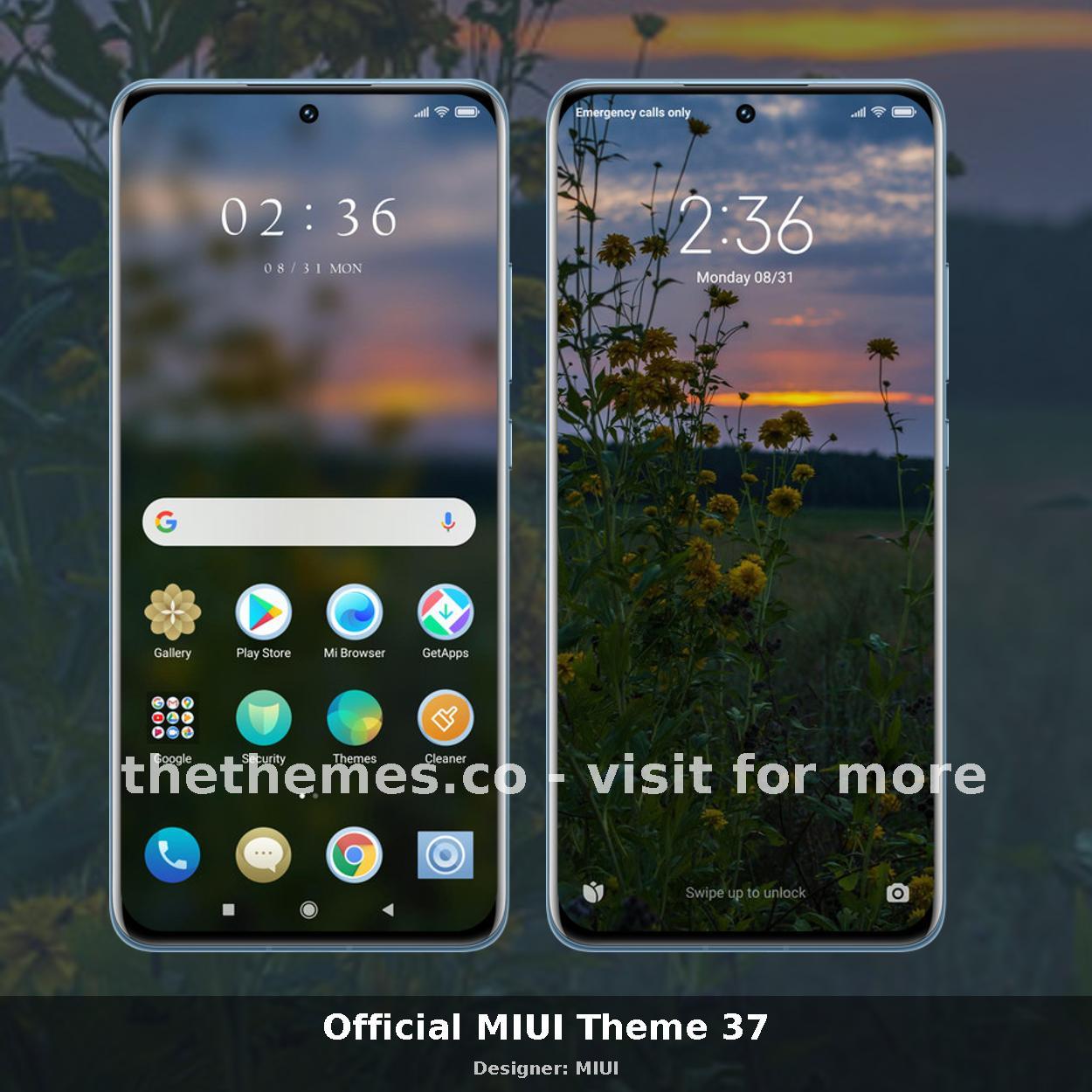Official MIUI Theme 37