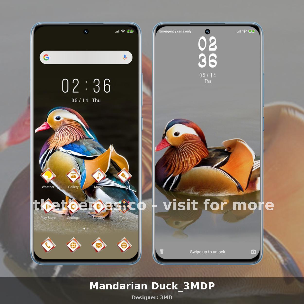 Mandarian Duck_3MDP