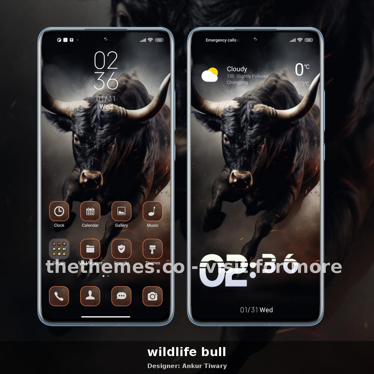 wildlife bull