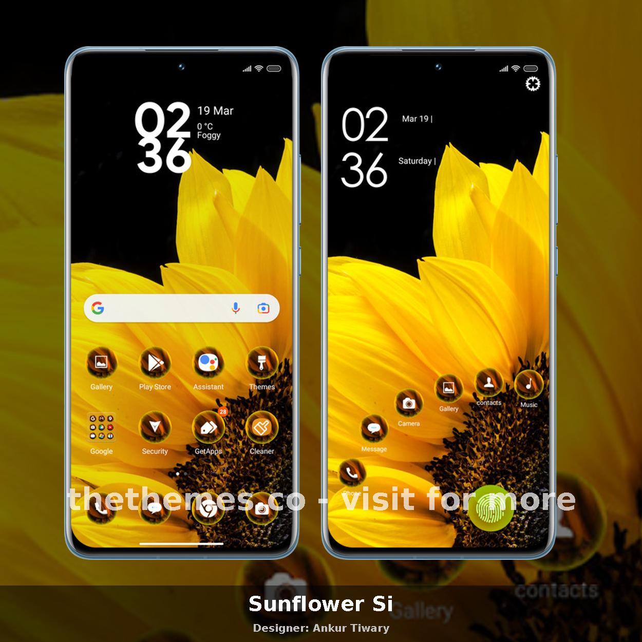 Sunflower Si