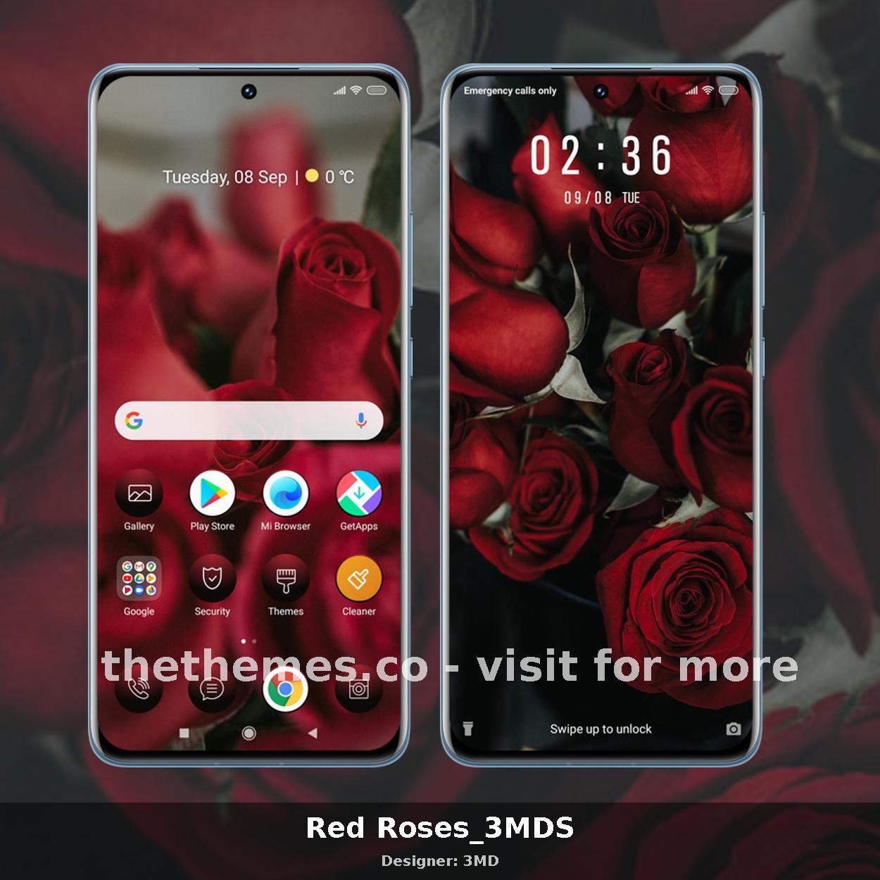 Red Roses_3MDS