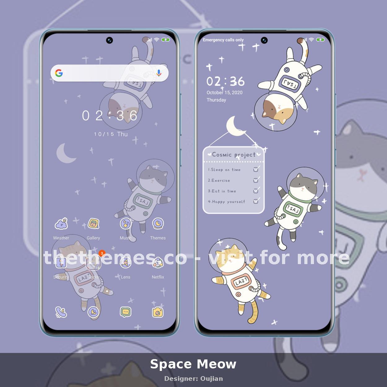 Space Meow
