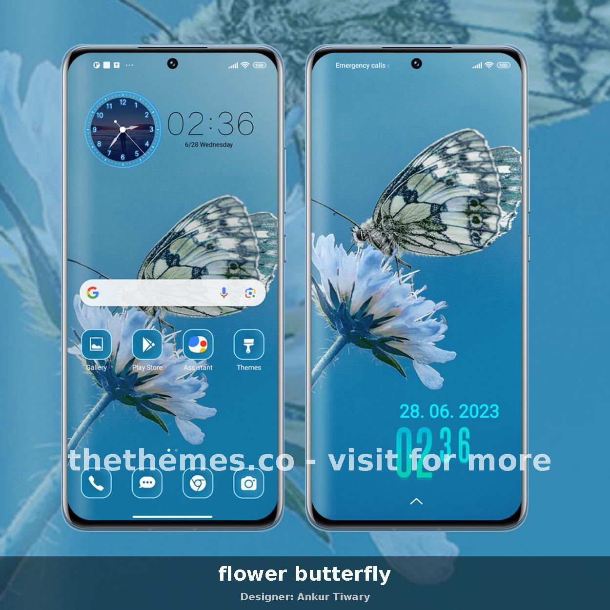 flower butterfly