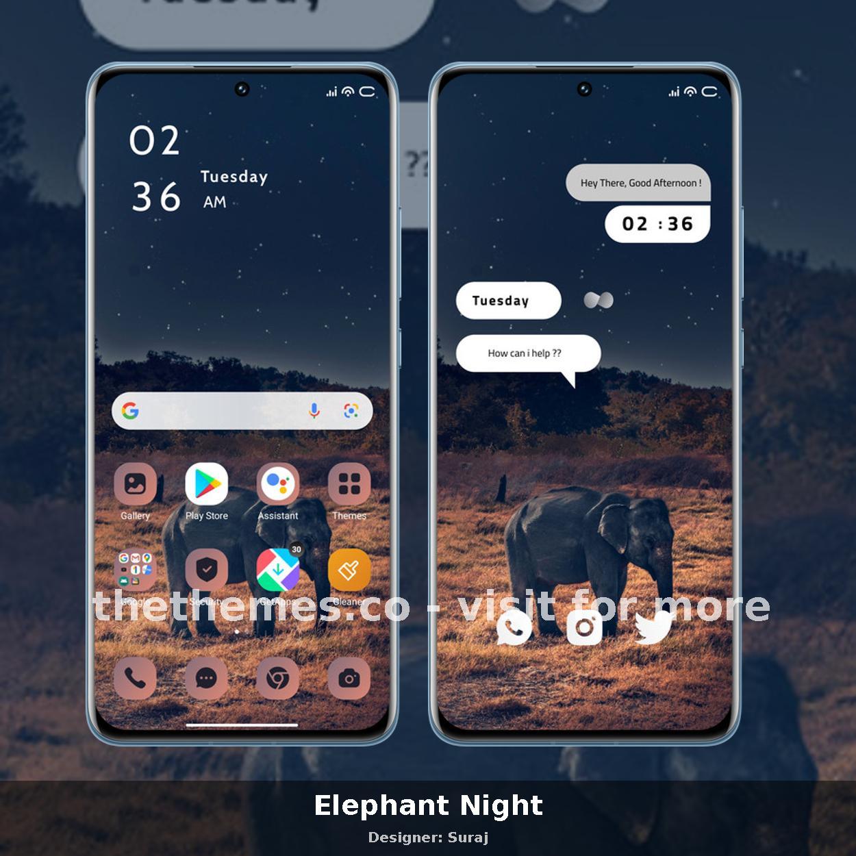 Elephant Night