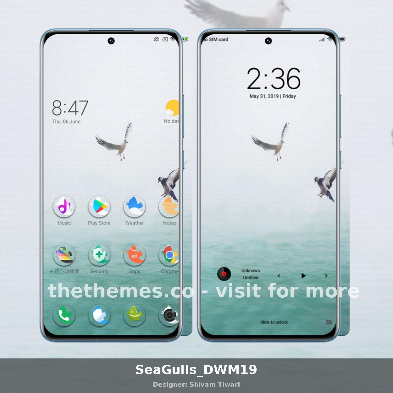 SeaGulls_DWM19
