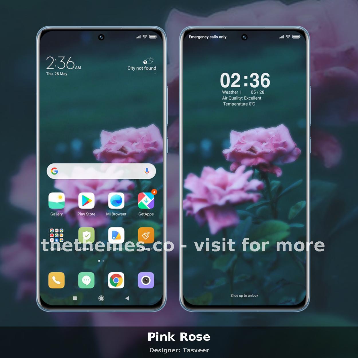 Pink Rose
