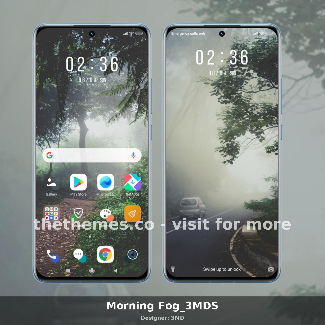 Morning Fog_3MDS