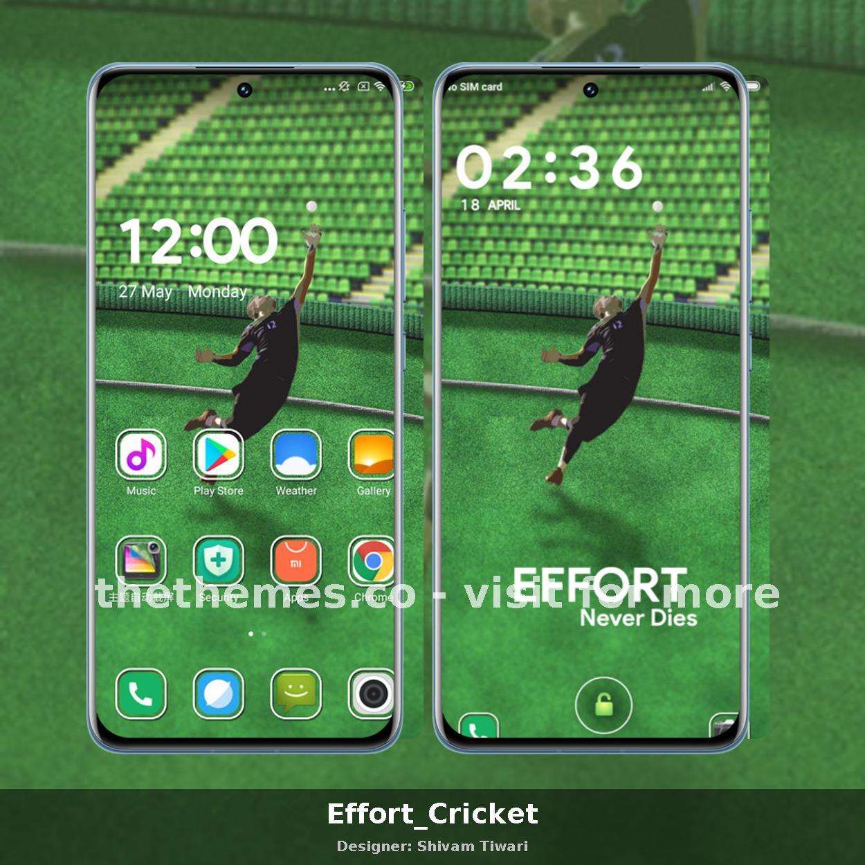 Effort_Cricket