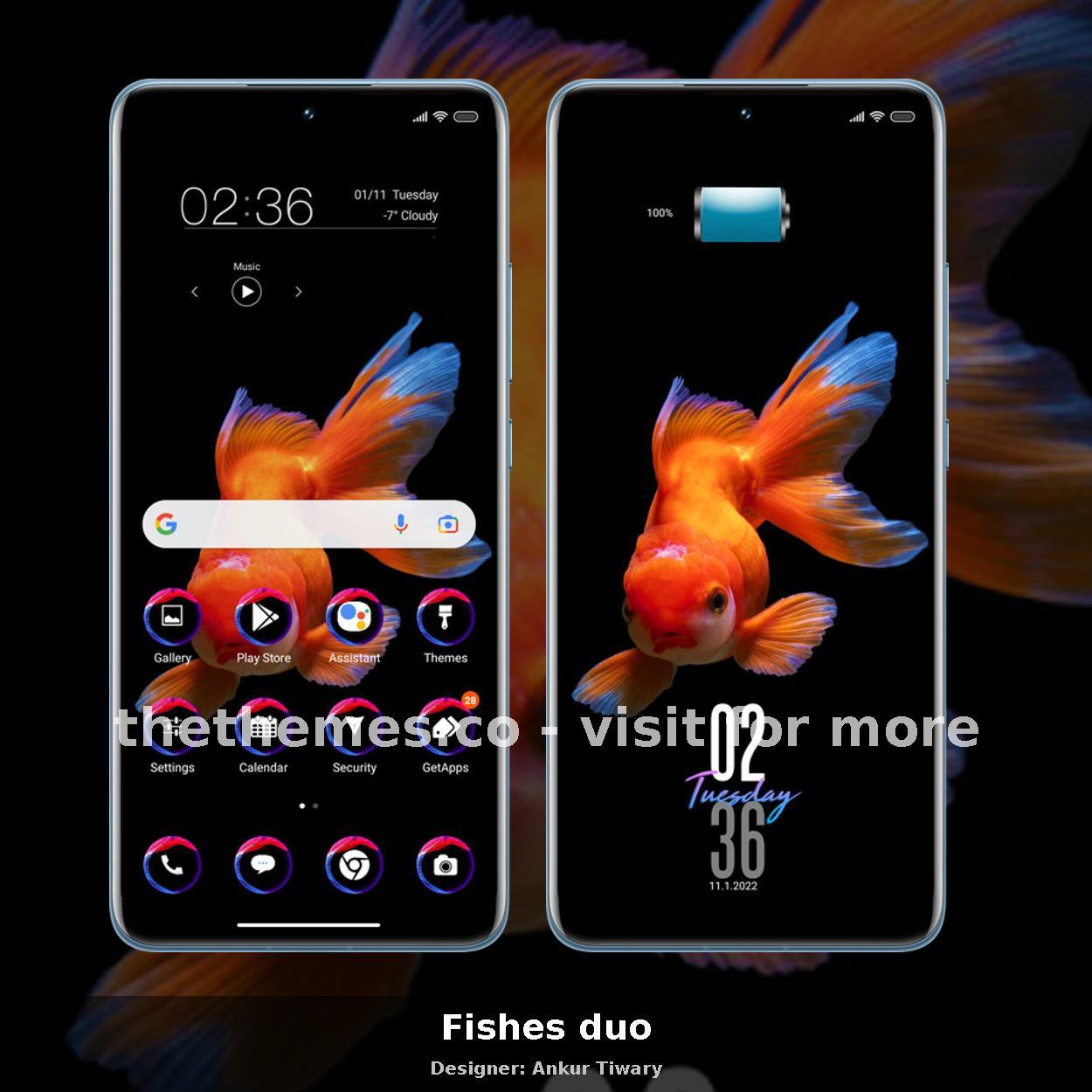 Fishes duo