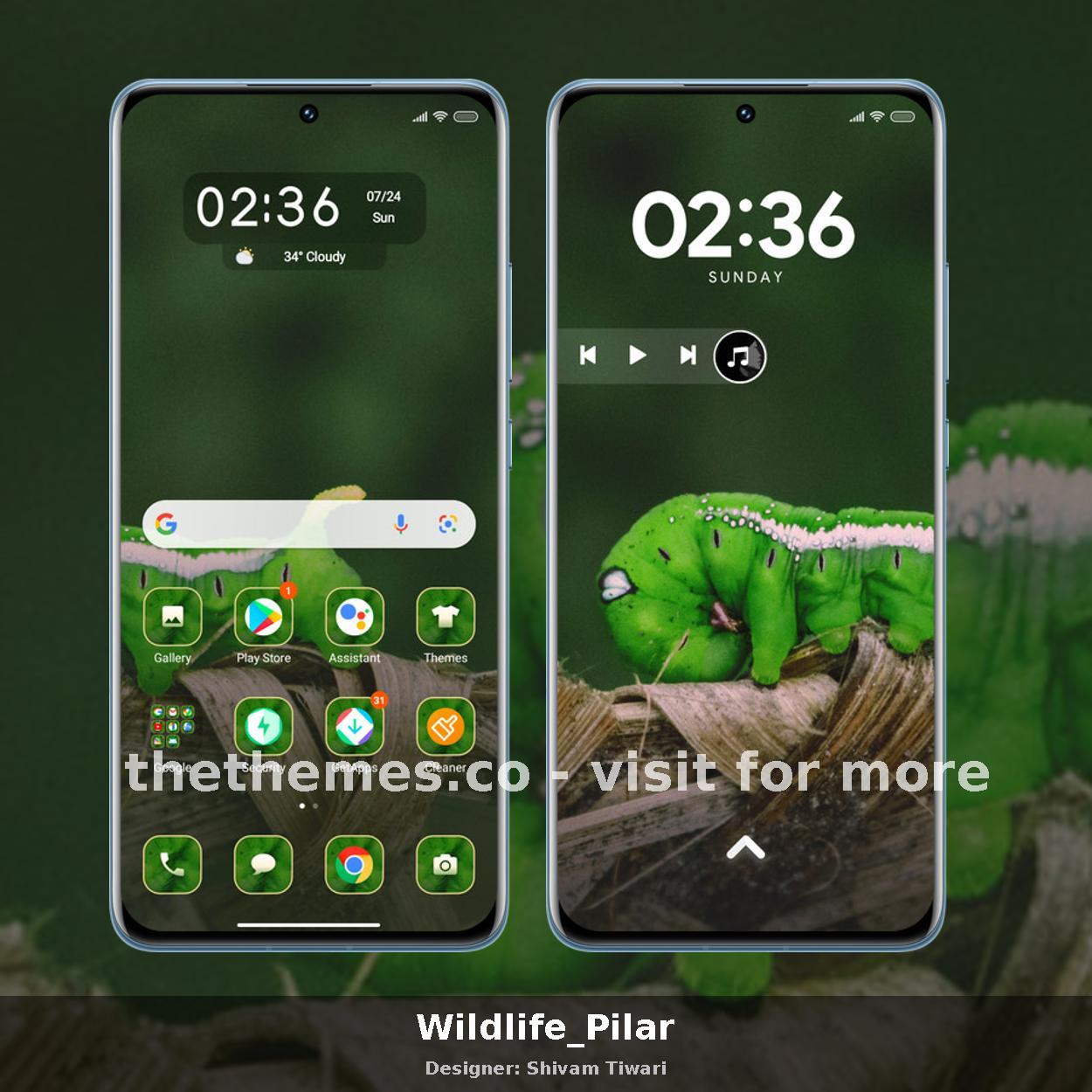 Wildlife_Pilar