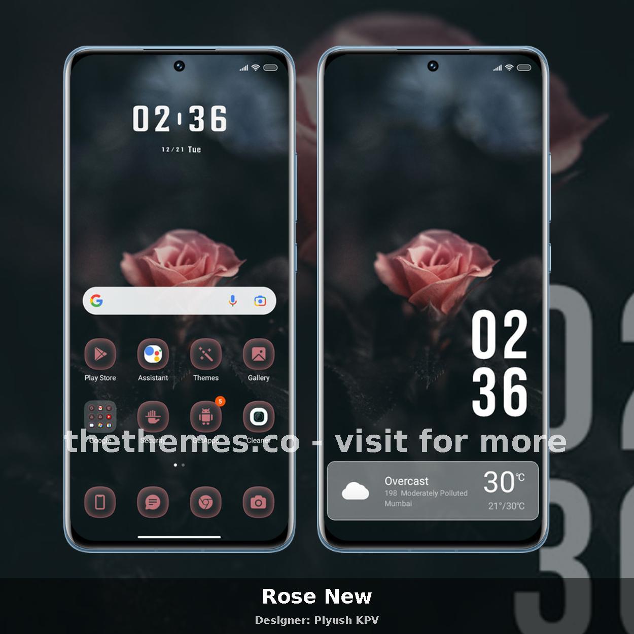 Rose New