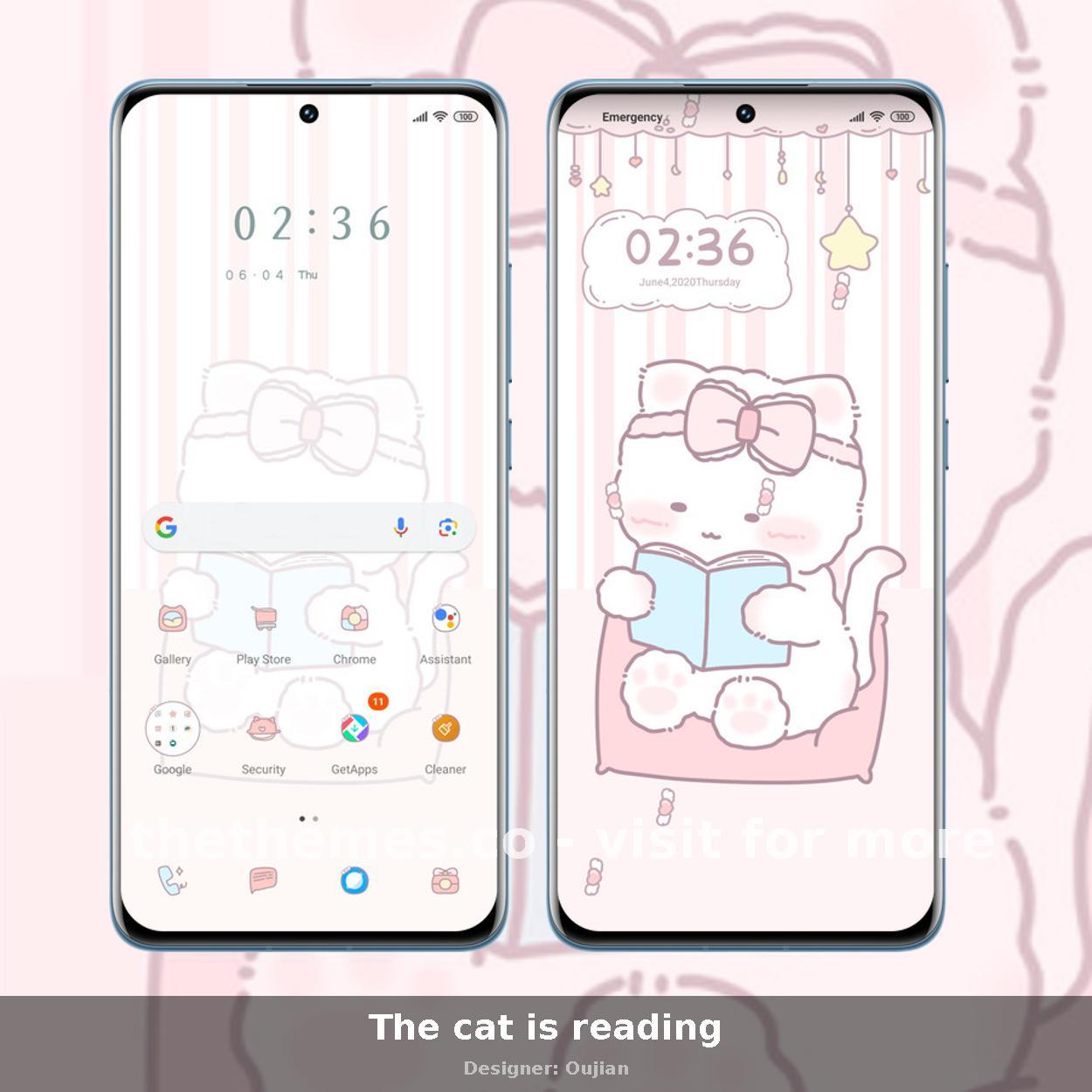 The cat is reading