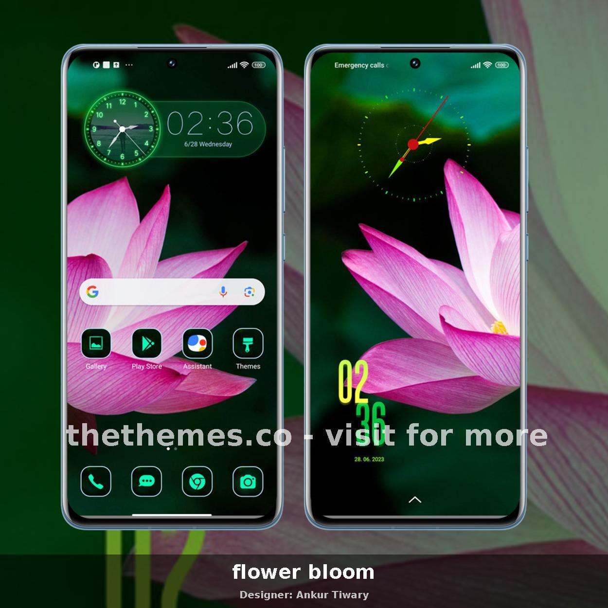 flower bloom