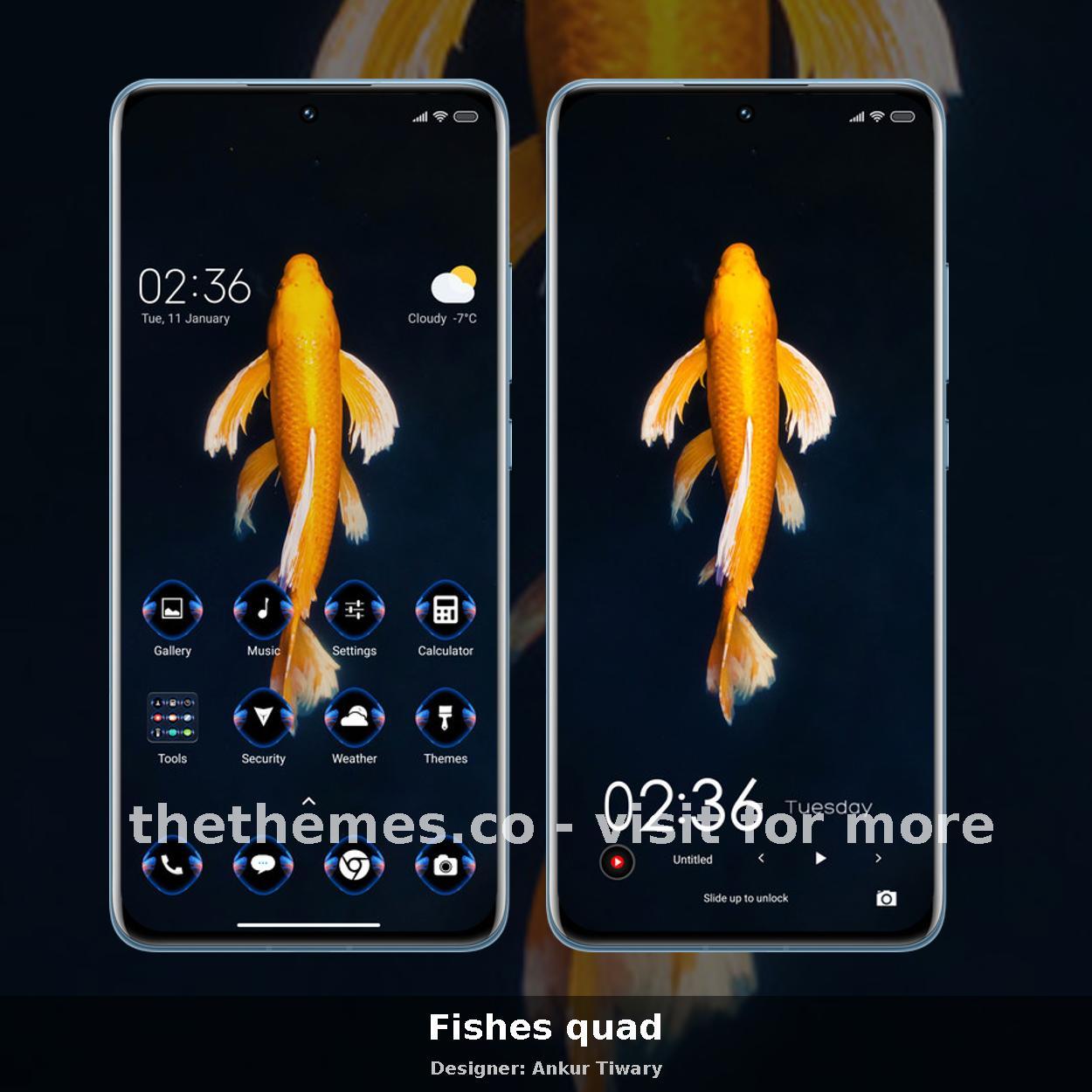 Fishes quad