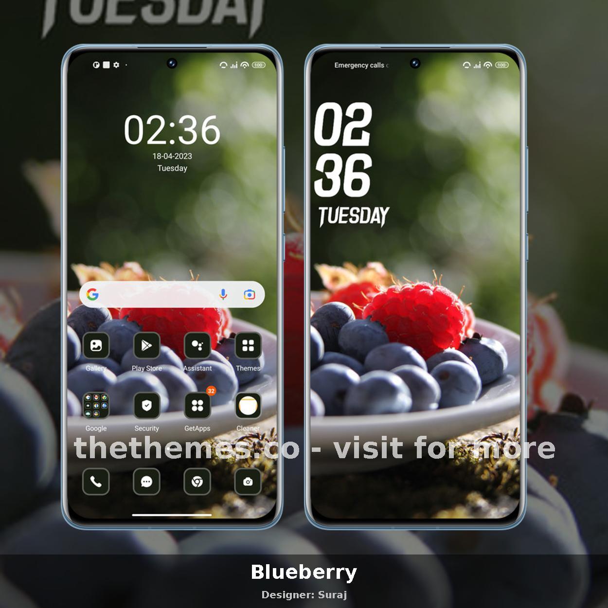 Blueberry