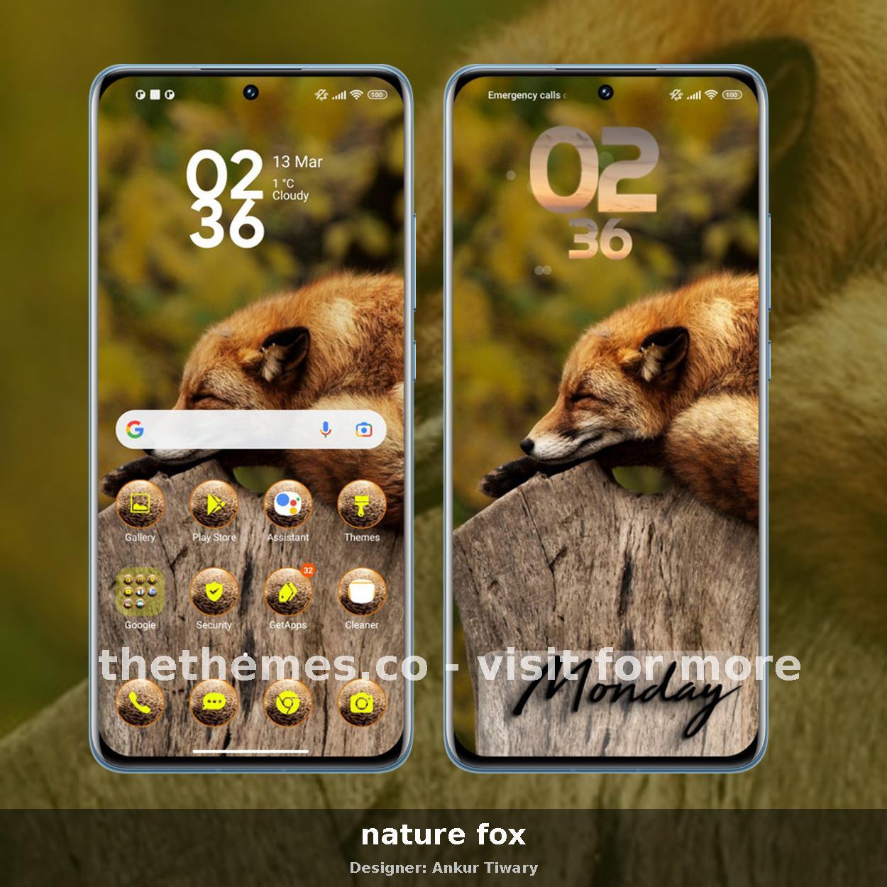 nature fox