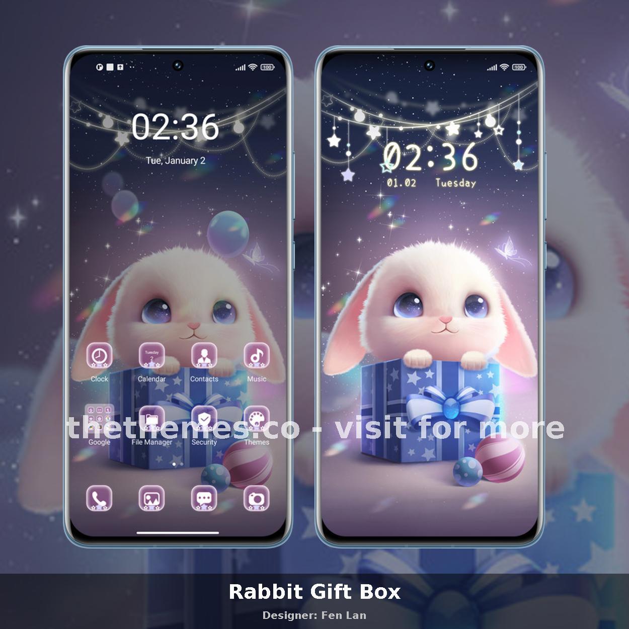 Rabbit Gift Box