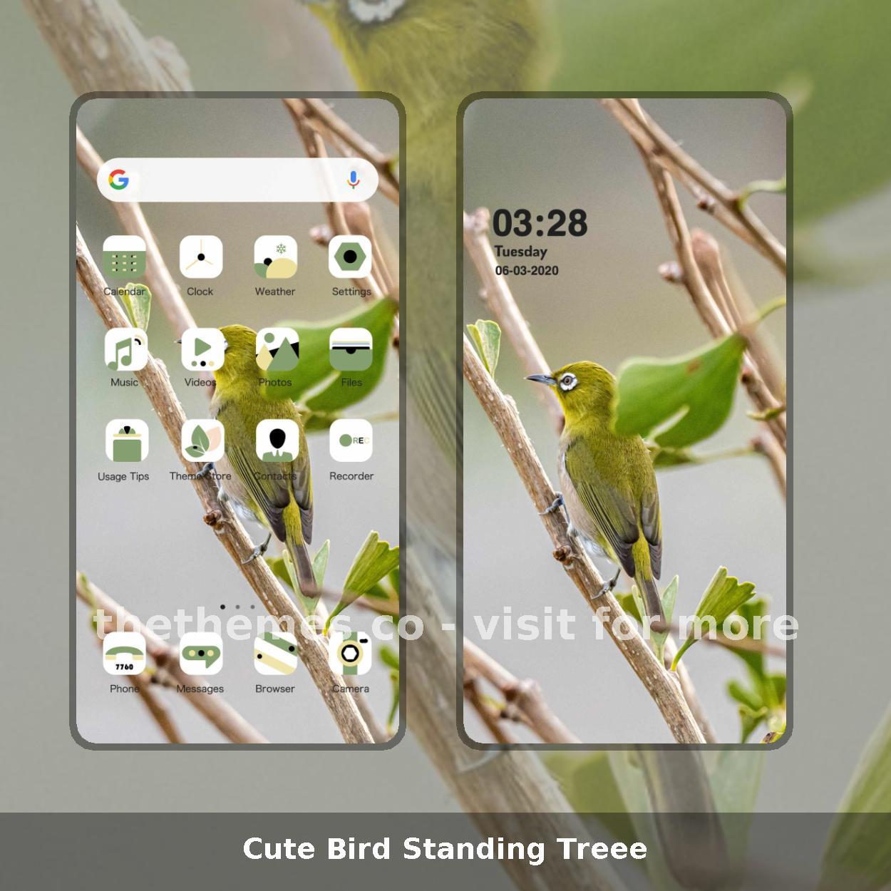 Cute Bird Standing Treee