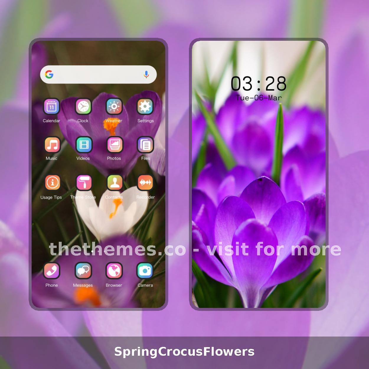 SpringCrocusFlowers