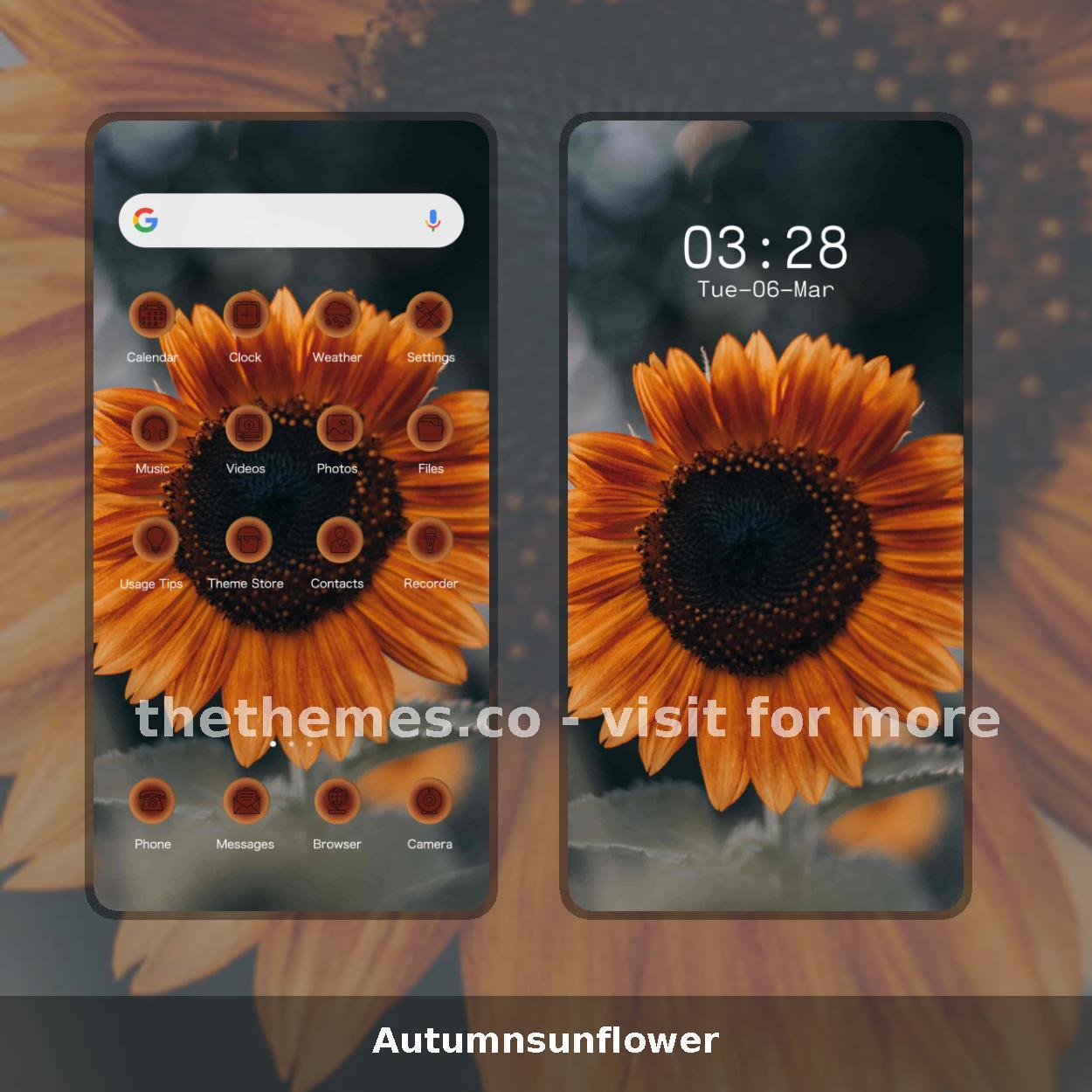 Autumnsunflower