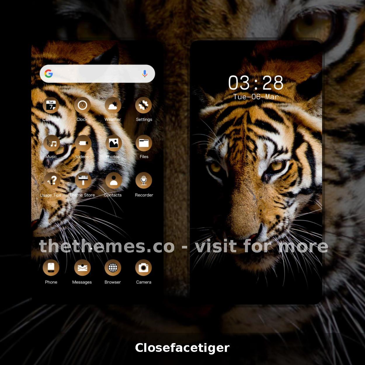 Closefacetiger