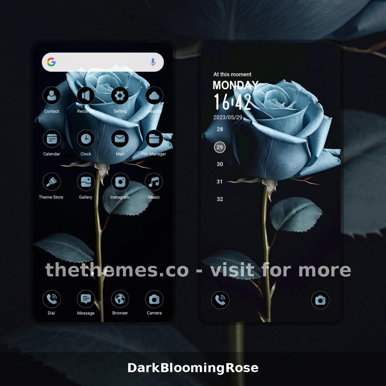 DarkBloomingRose