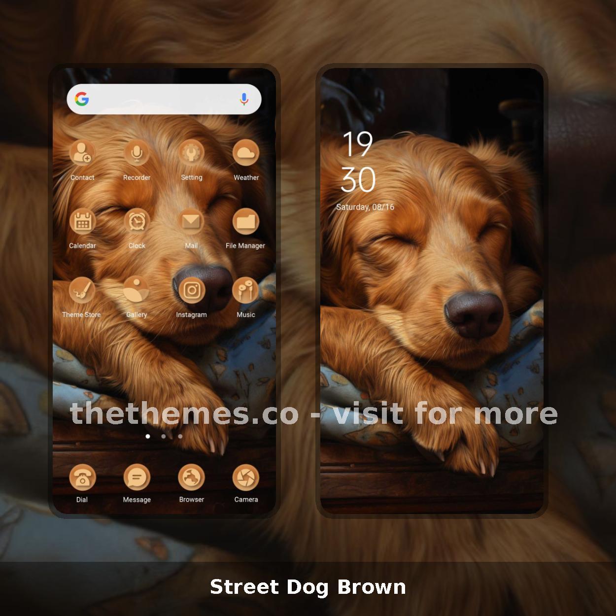 Street Dog Brown