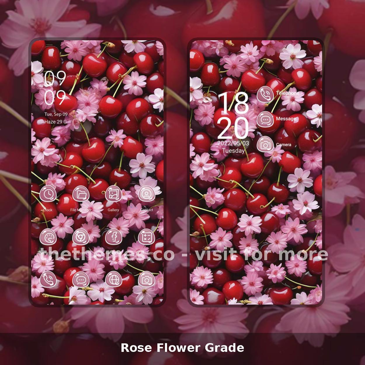 Rose Flower Grade
