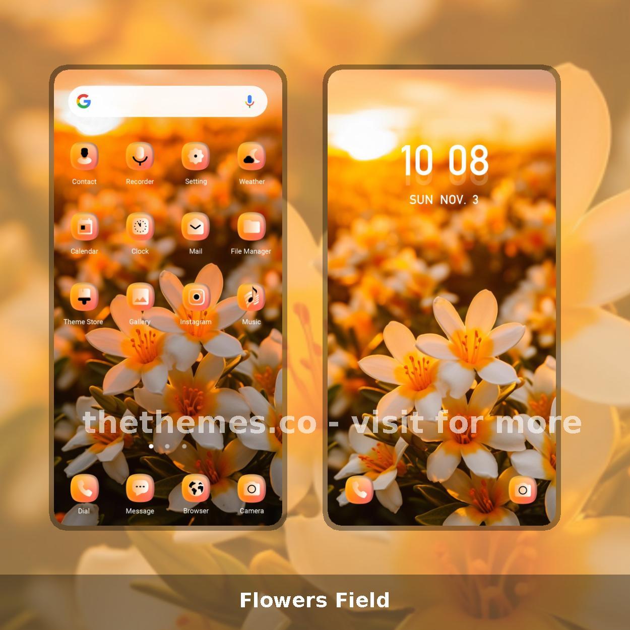 Flowers Field